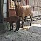 OWCE, rasa KAMERUSKA: Sprzedam owce Kamerusk z barankiem, c.400z. GULIN