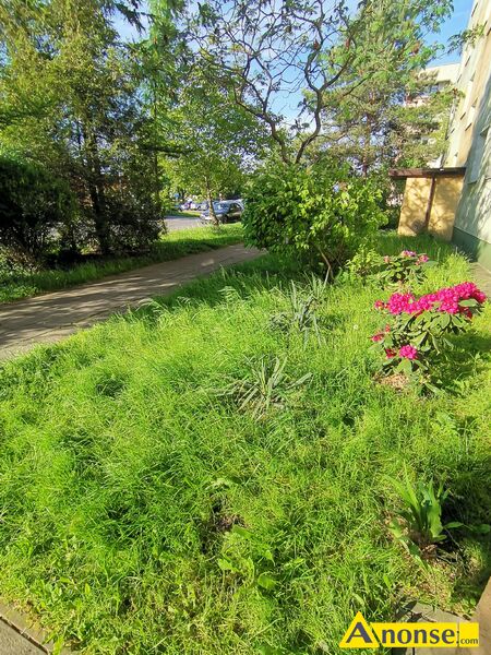 PRĘDOCINEK , M-2, 30m<sup>2</sup>, p. 0/4 informacje dodatkowe: do zamieszkania opis dodatkowy: Wynajmę kawalerkę w Radomiu na parterze w bloku 4 piętrowym na oś Prędocinek 30 m<sup>2</sup>,, bez piecyka gazowego, co jest atutem. Lokal do własnej aranżacji w Spokojnej i atrakcyjnej lokalizacji. Mieszkanie ustawne z dużym balkonem. W wyposażeniu okna plastikowe z roletami, panele, płytki, pralka, lodówka, kuchenka gazowa (gaz w czynszu), kabina prysznicowa. Mieszkanie optymalnie umeblowane, ale można też mieć coś swojego. Blisko przystanek autobusowy, sklepy, centrum handlowe M1, aquapark Neptun, przychodnia, apteka, szkoła, przedszkole, kościół. Również monitoring miejski, ścieżki rowerowe, parking. domofon, dużo zieleni. Miejsce przyjazne dla zwierząt. Cena 1500 zł za mc + czynsz 350 zł, + media wg zużycia. Kaucja zwrotna 1500 zł. Najem okazjonalny na dłuższy termin, minimum rok PRĘDOCINEK , M-2, 30m<sup>2</sup>, p. 0/4 informacje dodatkowe: do zamieszkania opis dodatkowy: Wynajmę kawalerkę w Radomiu na parterze w bloku 4 piętrowym na oś Prędocinek 30 m<sup>2</sup>,, bez piecyka gazowego, co jest atutem. Lokal do własnej aranżacji w Spokojnej i atrakcyjnej lokalizacji. Mieszkanie ustawne z dużym balkonem. W wyposażeniu okna plastikowe z roletami, panele, płytki, pralka, lodówka, kuchenka gazowa (gaz w czynszu), kabina prysznicowa. Mieszkanie optymalnie umeblowane, ale można też mieć coś swojego. Blisko przystanek autobusowy, sklepy, centrum handlowe M1, aquapark Neptun, przychodnia, apteka, szkoła, przedszkole, kościół. Również monitoring miejski, ścieżki rowerowe, parking. domofon, dużo zieleni. Miejsce przyjazne dla zwierząt. Cena 1500 zł za mc + czynsz 350 zł, + media wg zużycia. Kaucja zwrotna 1500 zł. Najem okazjonalny na dłuższy termin, minimum rok