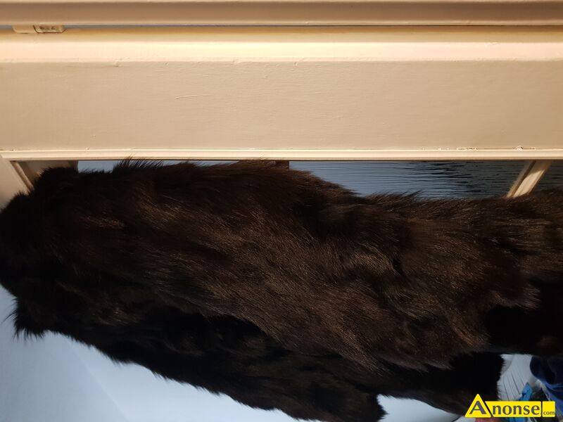 FUTRO , rozm.50 opis dodatkowy: Futro czarne z lisów
FUTRO , rozm.50 opis dodatkowy: Futro czarne z lisów