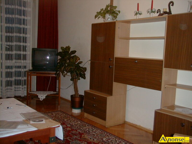 WYNAJEM MIESZKANIA opis dodatkowy: Wynajmę mieszkanie. W bloku. 50 m kw. Dwa pokoje z kuchnią. Okna na wschód i zachód. Lodówka, pralka. Zaciszna okolica. Umeblowane. Opomiarowane. Imprezowanie wykluczone. Bez zwierząt. Dla osób pracujących. Wynajem 1300 zł/mies. + czynsz + media. WYNAJEM MIESZKANIA opis dodatkowy: Wynajmę mieszkanie. W bloku. 50 m kw. Dwa pokoje z kuchnią. Okna na wschód i zachód. Lodówka, pralka. Zaciszna okolica. Umeblowane. Opomiarowane. Imprezowanie wykluczone. Bez zwierząt. Dla osób pracujących. Wynajem 1300 zł/mies. + czynsz + media.