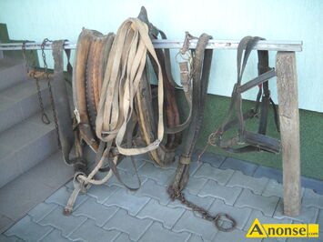 Anonse - CHOMĄTO, używane o wymiarach 33x59 cm, w komplecie z postronkami, pasem nagrzbietowym, noszelnikiem i wędzidłami oraz podkładem. Stan uprzęż Anonse CHOMĄTO, używane o wymiarach 33x59 cm, w komplecie z postronkami, pasem nagrzbietowym, noszelnikiem i wędzidłami oraz podkładem. Stan uprzęż