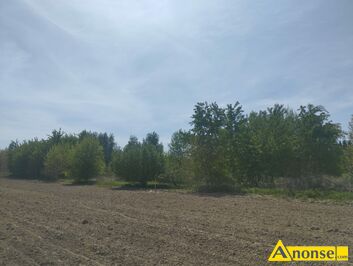 Anonse - JAKUBOWICE KONIŃSKIE KOL, działka 4300m<sup>2</sup>, rolno-budowlana, Jakubowice Konińskie Kol ul Klonowa działka w trakcie przekształcenia. Dnia 28.10 Anonse JAKUBOWICE KONIŃSKIE KOL, działka 4300m<sup>2</sup>, rolno-budowlana, Jakubowice Konińskie Kol ul Klonowa działka w trakcie przekształcenia. Dnia 28.10