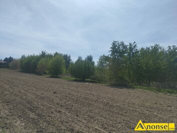 Anonse - JAKUBOWICE KONIŃSKIE KOL, działka 4300m<sup>2</sup>, rolno-budowlana, Jakubowice Konińskie Kol, ul Klonowa, działka w trakcie przekształcenia.Dnia 28.1 Anonse JAKUBOWICE KONIŃSKIE KOL, działka 4300m<sup>2</sup>, rolno-budowlana, Jakubowice Konińskie Kol, ul Klonowa, działka w trakcie przekształcenia.Dnia 28.1