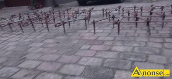 Anonse - BRONA, 5 polowa, stan bardzo dobry, c.1.100zł. SKARYSZEW Anonse BRONA, 5 polowa, stan bardzo dobry, c.1.100zł. SKARYSZEW