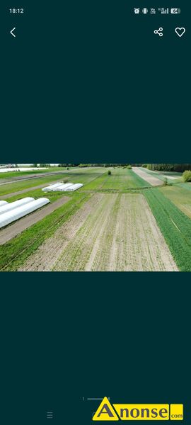 GROTKI , działka 29600m<sup>2</sup>, rolna opis dodatkowy: Sprzedam 3h w miejscowości Grotki gmina Radzanów duża działka 39m x 760m GROTKI , działka 29600m<sup>2</sup>, rolna opis dodatkowy: Sprzedam 3h w miejscowości Grotki gmina Radzanów duża działka 39m x 760m