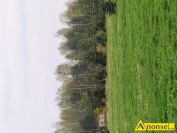 Anonse - DZIAŁKA, działka 5000m<sup>2</sup>, budowlana, w Kamionce, możliwość podziału na działki 1000 m kw. lub większe, ładnie położona, media, częściowo ogro Anonse DZIAŁKA, działka 5000m<sup>2</sup>, budowlana, w Kamionce, możliwość podziału na działki 1000 m kw. lub większe, ładnie położona, media, częściowo ogro