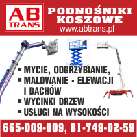 Anonse - PODNONIKI KOSZOWE AB TRANS LUBLIN WYCINKA DRZEW MALOWANIE ELEWACJI I D - AB TRANS ARTUR I LILLA BIENIASZEWSCY S.C.