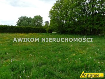 Anonse BUDY CHOJNACKIE, dziaka 33000m<sup>2</sup>, budowlana, gaz, prd, kanalizacja, sprzedam doskonale usytuowan dziak siedliskow w pobliu mszczonowa