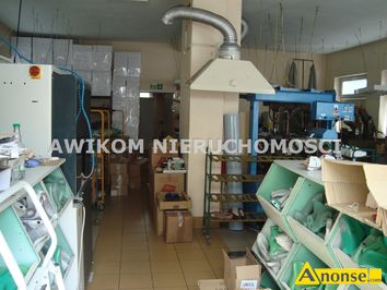 Anonse BIUROWIEC 250m<sup>2</sup>, LASKI, gaz, prd, kanalizacja, dojazd asfalt, alarm, kaucja: 14000.00, dodatkowe opaty: co, gaz, prd, mieci, woda, laski