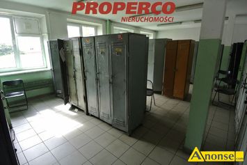 Anonse HALA 1549m<sup>2</sup>, KIELCE, biurowiec, gaz, prd, kanalizacja, dojazd asfalt, alarm, dozr budynku, do odwieenia, dodatkowe opaty: prd, woda, d