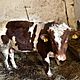 BYK, rasa misna, Byk rasa MM waga ok 400kg wiek 11 mies, c.15z/kg. KOWALA-KOLONIA