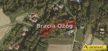 Anonse BIAKA, dom 100m<sup>2</sup>, pokoje: 3, gaz, prd, kanalizacja, na sprzeda dom drewniany z budynkami gospodarczymi wraz z du 35-arow dziak znajd