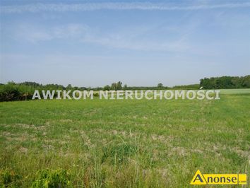 Anonse JASTRZBNIK, dziaka 38361m<sup>2</sup>, budowlana, prd, dojazd asfalt, jastrzbnik pikna dziaka rolno-budowlana o powierzchni 36730 m2 w nieregular