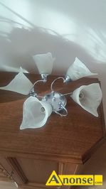 Anonse YRANDOL, yrandol do salonu na pi arwek,szklane klosze,korpus metalowy,niklowany (5 x60Watt),mona wieci 2 arwki lub 5,gwint E-14 -