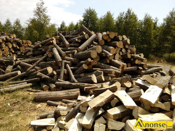Anonse - DREWNO, do kominka, do pieca, z transportem, brzoza 450 zł/m, olcha 400 zł/m, c. od 400zł. MAŁKÓW Anonse DREWNO, do kominka, do pieca, z transportem, brzoza 450 zł/m, olcha 400 zł/m, c. od 400zł. MAŁKÓW