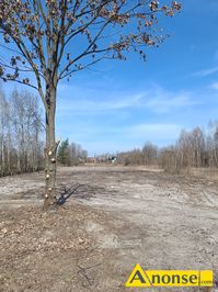 Anonse JANW, dziaka 4422m<sup>2</sup>, rolno-budowlana, Na sprzeda dziaka w miejscowoci Janw, gmina Skaryszew. Janw znajduje si tu pod Radomiem (4km
