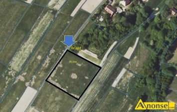 Anonse WYDRNA, dziaka 35.63a, rekreacyjna, prd, woda ze studni, na lekko wznoszcym si terenie w miejscowo Wydrna, gmina Dydnia. Wymiary dzia