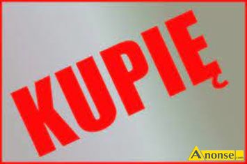 Anonse ZAKUPI: yto, Kupi pszenice, pszenyto, groch, ubin i inne zboa. Zboa ekologiczne, paszowe, konsumpcyjne. Ilo min.20 ton. Odbir z go