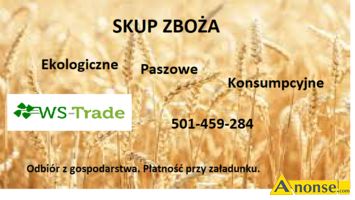Anonse ZAKUPI: yto, Kupie owies, pszenyto, jczmie, groch ubin i inne zboa. Zboa ekologiczne, konsumpcyjne, paszowe. Ilo n.20 ton. Odbir