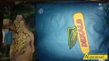 Anonse KUKURYDZA, nasiona kukurydzy dkc 3088, na ziarno, cena dotyczy jednej jednostki 50 tyś. nasion, c.550zł/sz. KOZUBÓW