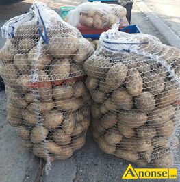 Anonse ZIEMNIAKI, Vinieta, Sprzedam ziemniaki do jedzenia odmiana vinieta te smaczne cena 2zl kg pakowane w worki po 15kg, c.2z/kg. KROGULCZA S