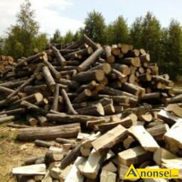 Anonse DREWNO, z transportem, do pieca, do kominka, Drewno upane grab, db, inne liciaste i iglaste gotowe do palenia, c. od 250z. MAKW 663-