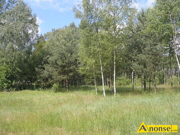 Anonse GJSZCZ KOL., dziaka 2000m<sup>2</sup>, budowlana, Gmina Mrozy, SANATORYJNY KLIMAT, 60 km. od Warszawy.Obszar Natura 2.,000,spokojna, b.bezpieczna i p