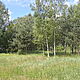 GJSZCZ KOL., dziaka 2000m<sup>2</sup>, budowlana, Gmina Mrozy, SANATORYJNY KLIMAT, 60 km. od Warszawy.Obszar Natura 2.,000,spokojna, b.bezpieczna i p