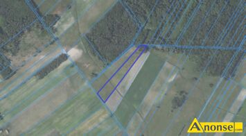 Anonse STARY BRUS/ZAMOODYCZE, dziaka 1.5ha, rolna, spokojna okolica, Sprzedam dziak w wojewdztwie lubelskim, powiat wodawski, gmina Stary Bru