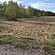 TRZEMOSNA, dziaka 1232m<sup>2</sup>, budowlana, woda, prd, wymiary szeroko 25 m. x dugo 50 m. pooona we wsi Trzemosna. Numer dziaki 590/2. Do
