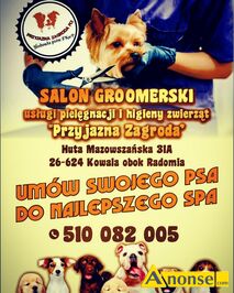 Anonse ZABIEGI PIELGNACYJNE, Salon groomerski 