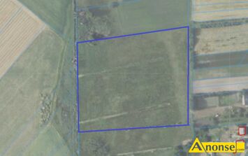 Anonse PODEDWRZE/BOJARY, dziaka 3.1056m<sup>2</sup>, rolna, Sprzedam dziak w wojewdztwie lubelskim, w powiecie parczewskim, w gminie Podedwrze, obrb Bo