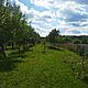 SKARZYSKO KAM, dom 78m<sup>2</sup>, 1-rodzinny, na dziace 2800m<sup>2</sup>, do zamieszkania od zaraz, do zamieszkania + dziaalno gospodarcza, pokoje: 4, ocie