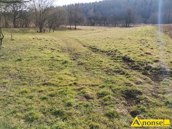 Anonse BABICA, dziaka 18a, budowlana, druga w pasie zabudowy, spokojna okolica, gaz, Sprzedam dziak w centrum Babicy (10km od granicy Rzeszowa).