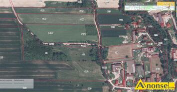 Anonse BODUSZW /IWANISKA, dziaka 17000m<sup>2</sup>, rolno-budowlana, spokojna okolica, zadrzewiona, moliwo podziau, atrakcyjne pooenie, przy trasie,