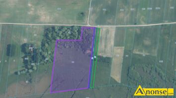 Anonse BRZENO/DOROHUSK, dziaka 4.85m<sup>2</sup>, rolna, 3 dziaki rolne obok siebie, cznie 4,85 ha, gm. Dorohusk Sprzedam 3 dziaki rolne w wojewdztwie