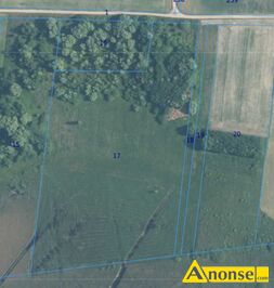 Anonse BRZENO/DOROHUSK, dziaka 4.85m<sup>2</sup>, rolna, 3 dziaki rolne obok siebie, cznie 4,85 ha, gm. Dorohusk Sprzedam 3 dziaki rolne w wojewdztwie