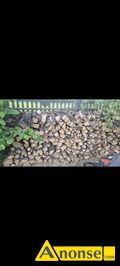 Anonse DREWNO, Sprzedam cztery i p metra szeciennego drewna lipowo klonowego ( pomieszane ) na opa, drewno jest pocite i poupane 180 z/m3 mo