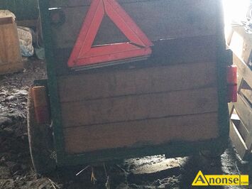 Anonse DWUKӣKA CIGNIKOWA, stan dobry, c.1.000z. OSTROWIEC WITOKRZYSKI
