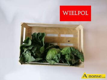 Anonse KAPUSTA, Sprzeda nowych, mocnych skrzynek drewnianych do kapusty i saaty. Wielko: 60 cm x 40 cm wysoko: 20 cm Grubo bocznych desek t