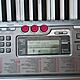 KEYBOARD, CASIO, Sprzt w idealnym stanie, w oryginalnym pudeku. Nie uywany. Casio LK-230 jest wyposaony w pomocny system uczenia si Ste