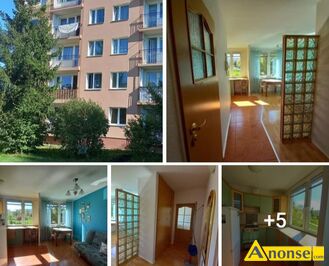 Anonse NA STOKU/ PRZY SIKORSKIEGO BEZ PIECYKA GAZ, M-3, 39m<sup>2</sup>, p. 1, spdzielcze-wasnociowe, do zamieszkania, Atrakcyjna I poszukiwana lokalizacj