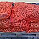 MARCHEW PASZOWA BURAKI CZERWONE PASZOWE, MAM DO SPRZEDANIA MARCHEW PASZOW,BURAKI CZERWONE PASZOWE POPAKOWAN W WORKI PO 20 KG cena1z/kg PR
