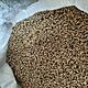 OWIES, Bingo, Sprzedam owies 1300kg cena 80 zl/100kg Tel 697293037, c.80z/q. CIECIERZYN