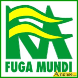 Anonse PANI DO SERWISU SPRZTAJCEGO, umowa o prac/ Sta, Poszukujemy Pani Do sprztania biura Praca dla osb z orzeczeniem o niepenosprawnoci P