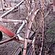 PRZETRZSARKO-ZGRABIARKA, 4 gwiazdy sprawna, c.550z. MAKW
