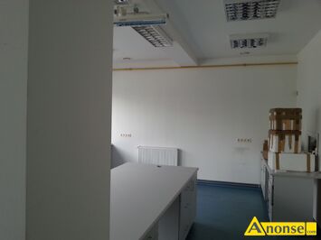 Anonse MALOWANIE SZPACHLOWANIE CYKLINOWANIE, Remonty ciany podogi szpachla kosztorysy listwy materiay lakiery farby gwarancja jakoci polerowani
