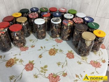 Anonse ROLINY, grzyby, grzyby prawdziwki 100 procent 2024 bez robaka sloj 0,9l lub 1kg 250zl, c.30z. TUMLIN-WGLE