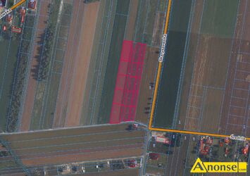 Anonse SKARYSZEW, dziaka 1000m<sup>2</sup>, budowlana, Sprzedam dziaki budowlane z warunkami zabudowy o pow.1000m2, znajdujce si w miejscowoci Skaryszew.