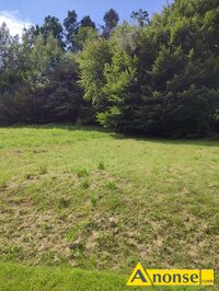 Anonse WYNE, dziaka 15m<sup>2</sup>, rekreacyjno-lena, Sprzedam atrakcyjn dziak pod lasem 15 arw we Wynem gmina Czudec przy granicy z Lubeni przy dro